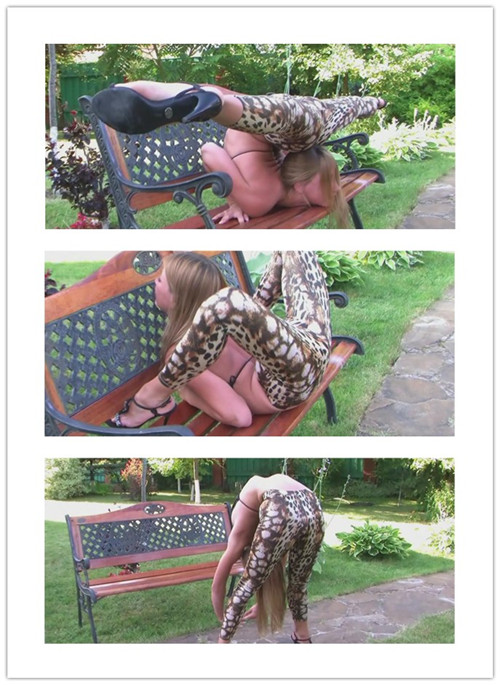 10-23����Ƶ��Ա��flexshowר���Ѹ���