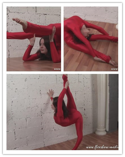 10-8����Ƶ��Ա��flexshowר���Ѹ���