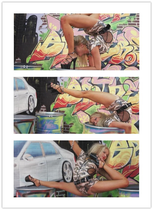 12-6����Ƶ��Ա��flexshowר���Ѹ���