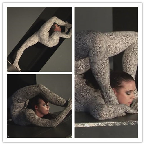 5-4����Ƶ��Ա��topflexmodelsר���Ѹ���