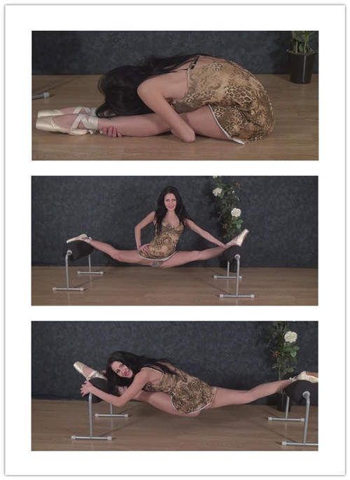 6-2��Ƶ��Ա��CL-Adagio����ר���Ѹ���