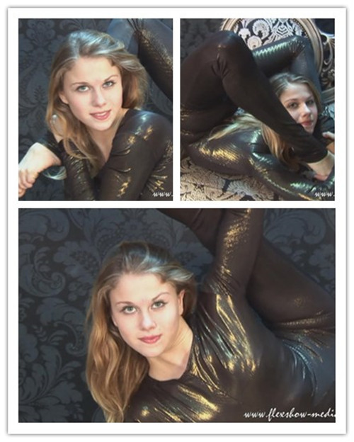 8-26����Ƶ��Ա��flexshowר���Ѹ���