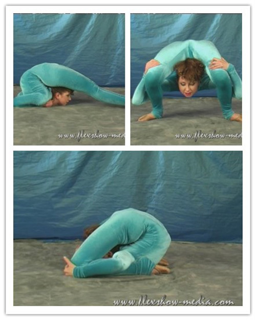 9-1����Ƶ��Ա��flexshowר���Ѹ���