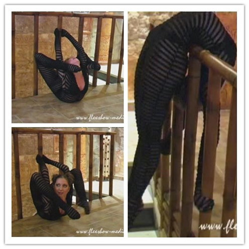 1-14����Ƶ��Ա��flexshowר���Ѹ���