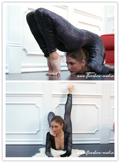 12-29����Ƶ��Ա��flexshowר���Ѹ���