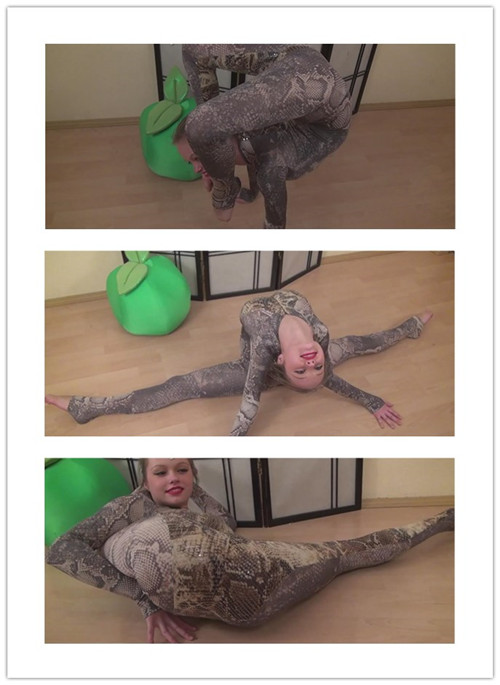 2-26����Ƶ��Ա��cl-studioר���Ѹ���