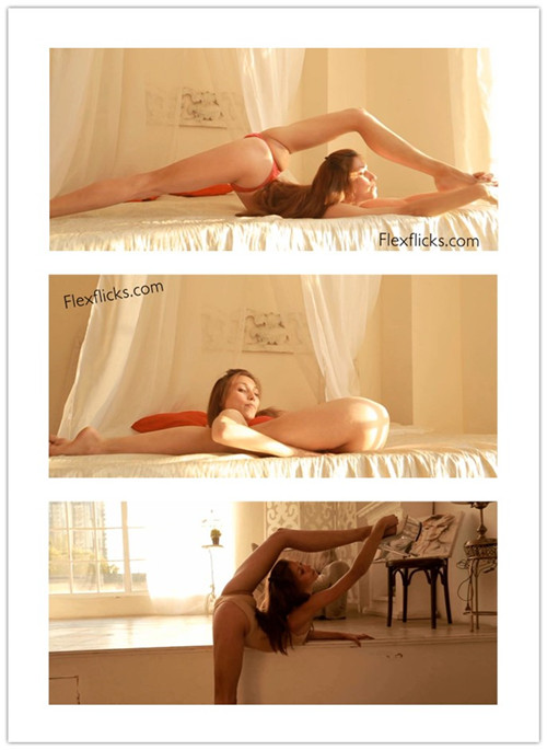 4-23����Ƶ��Ա��flexflicksר���Ѹ���