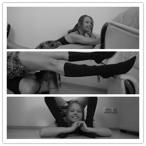 6-11����Ƶ��Ա��DL-VIDEOSר���Ѹ���