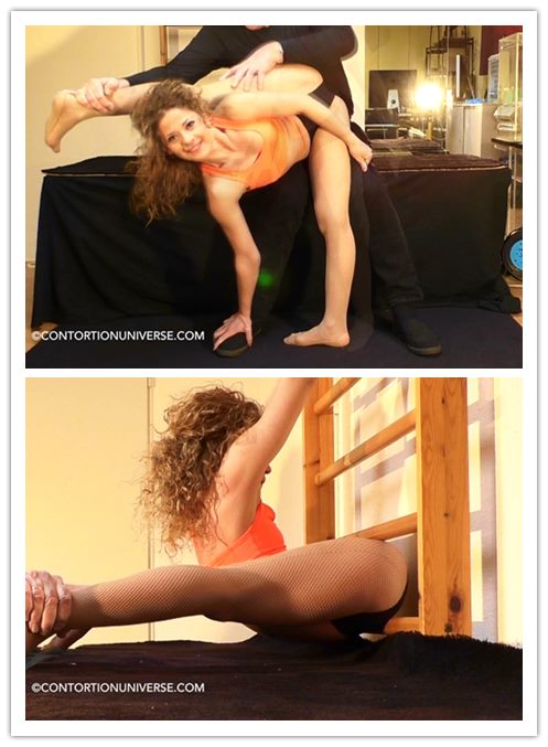 8-21����Ƶ��Ա��contortionuniverseר���Ѹ���