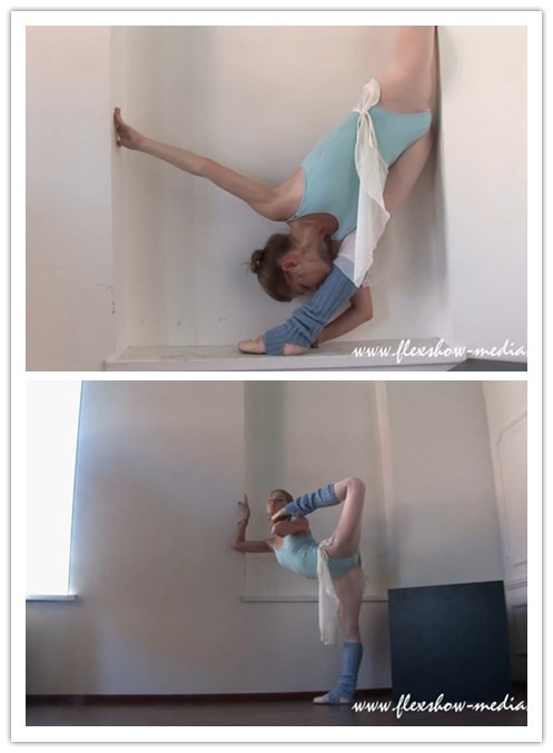 10-13����Ƶ��Ա��flexshowר���Ѹ���