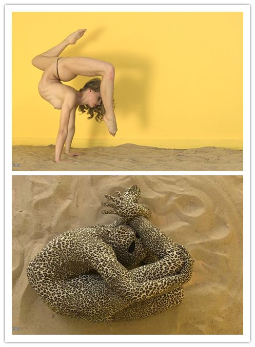 10-22����Ƶ��Ա��gymroticר���Ѹ���