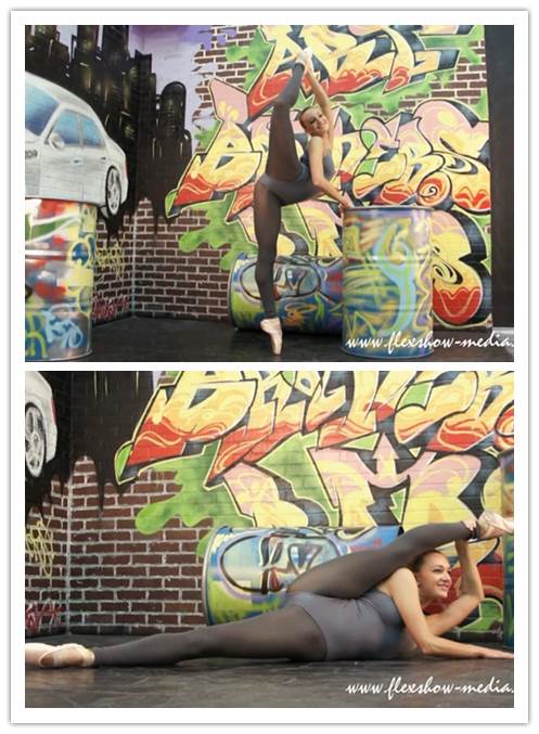 11-29����Ƶ��Ա��flexshowר���Ѹ���