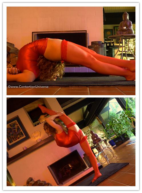 11-8����Ƶ��Ա��contortionuniverseר���Ѹ���