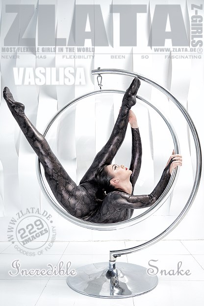 12-2��ͼƬ��Ա��zlataר���Ѹ���