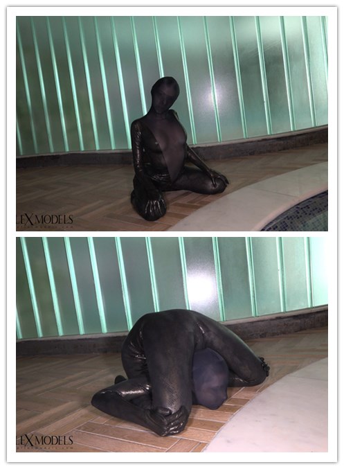 2017.1.3����Ƶ��Ա��topflexmodelsר���Ѹ���