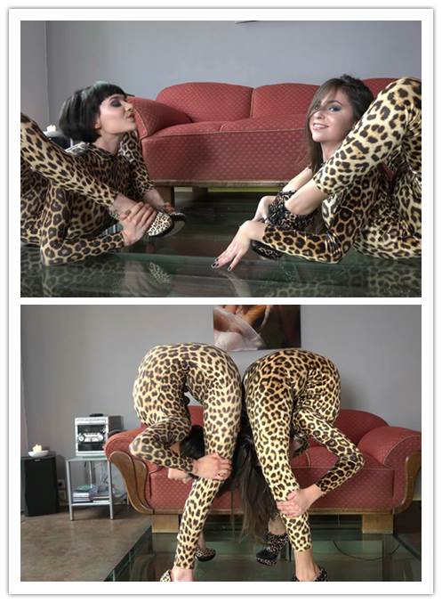 2-7����Ƶ��Ա��flexiladyר���Ѹ���