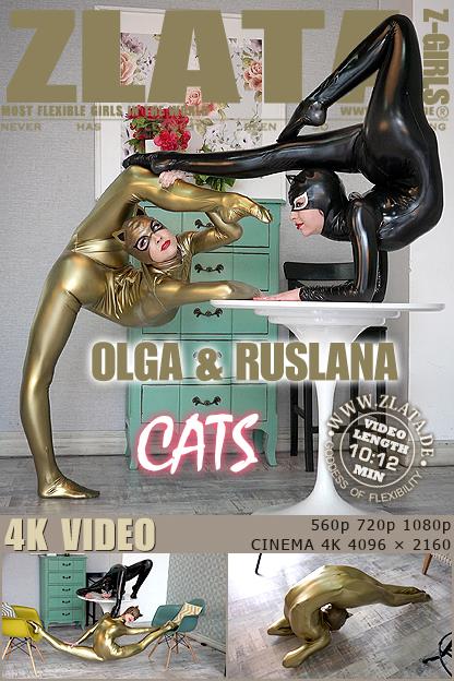 3-31����Ƶ��Ա��zlataר���Ѹ���