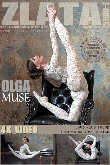 �����������������벻��רҵƽ̨