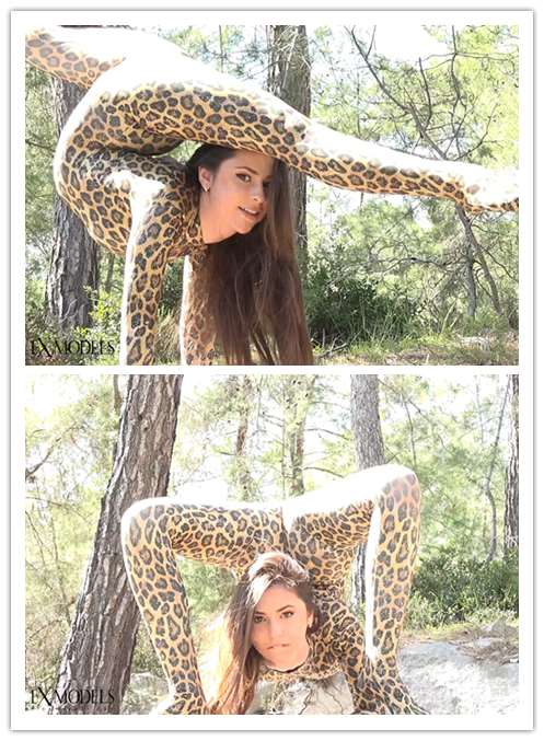 4-17����Ƶ��Ա��topflexmodelsר���Ѹ���