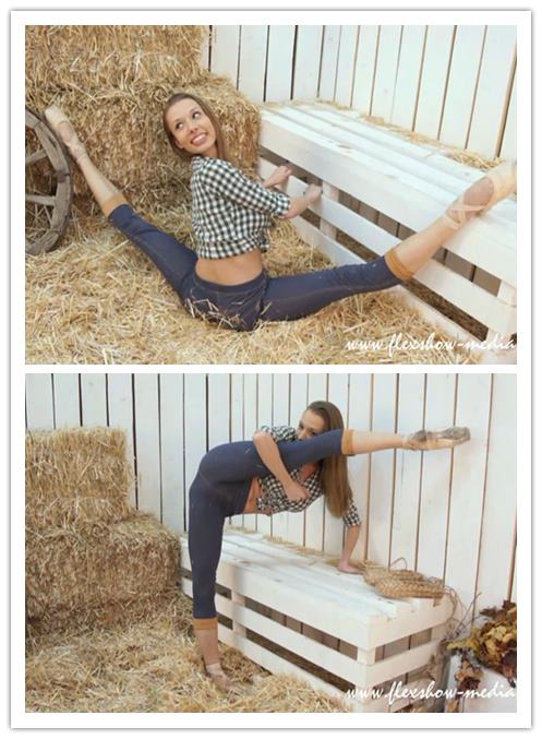 4-20����Ƶ��Ա��flexshowר���Ѹ���