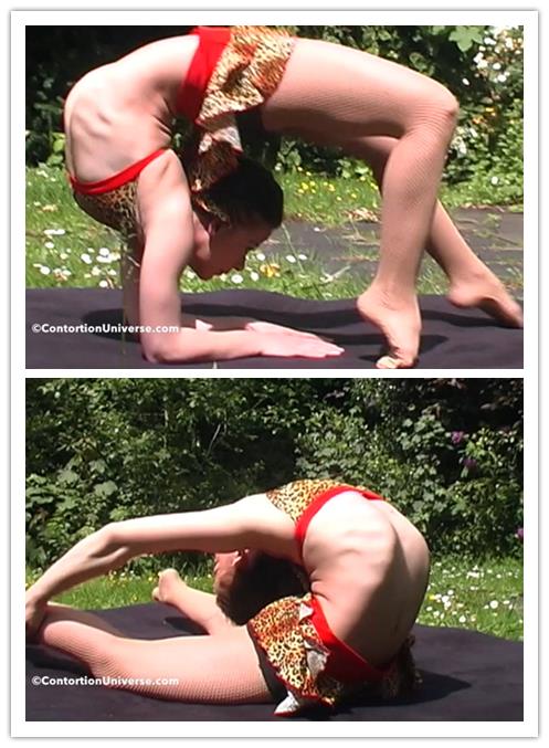 5-13����Ƶ��Ա��contortionuniverseר���Ѹ���