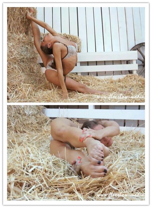 5-17����Ƶ��Ա��flexshowר���Ѹ���