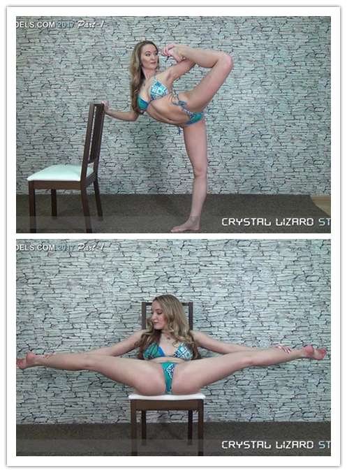 6-23����Ƶ��Ա��DL-VIDEOSר���Ѹ���