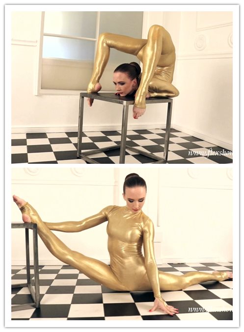 ������ѧҪѭ�浸��