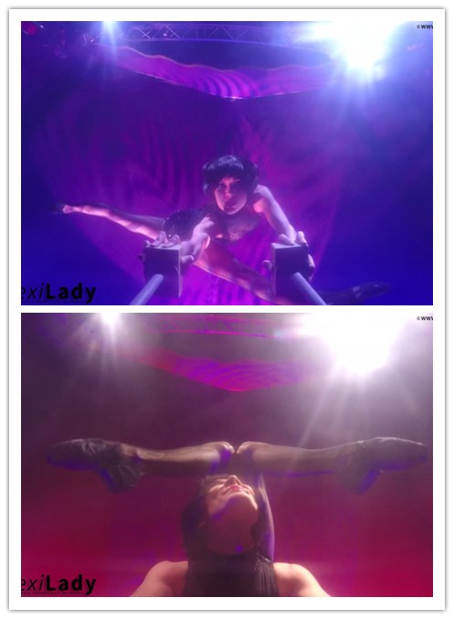 7-4����Ƶ��Ա��flexiladyר���Ѹ���