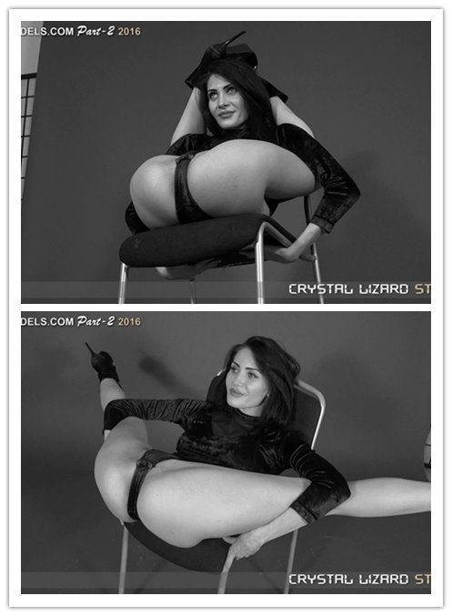 7-4����Ƶ��Ա��DL-VIDEOSר���Ѹ���