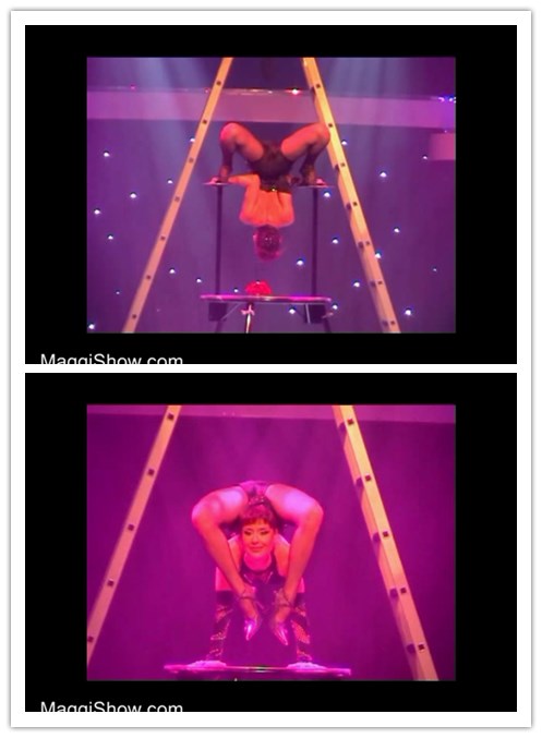 9-20����Ƶ��Ա��contorsionר���Ѹ���