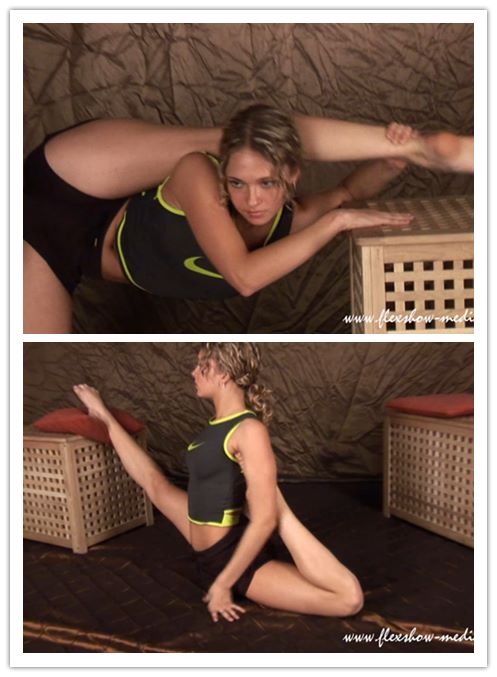 9-9����Ƶ��Ա��flexshowר���Ѹ���