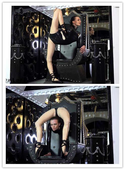 9-9����Ƶ��Ա��flexiladyר���Ѹ���