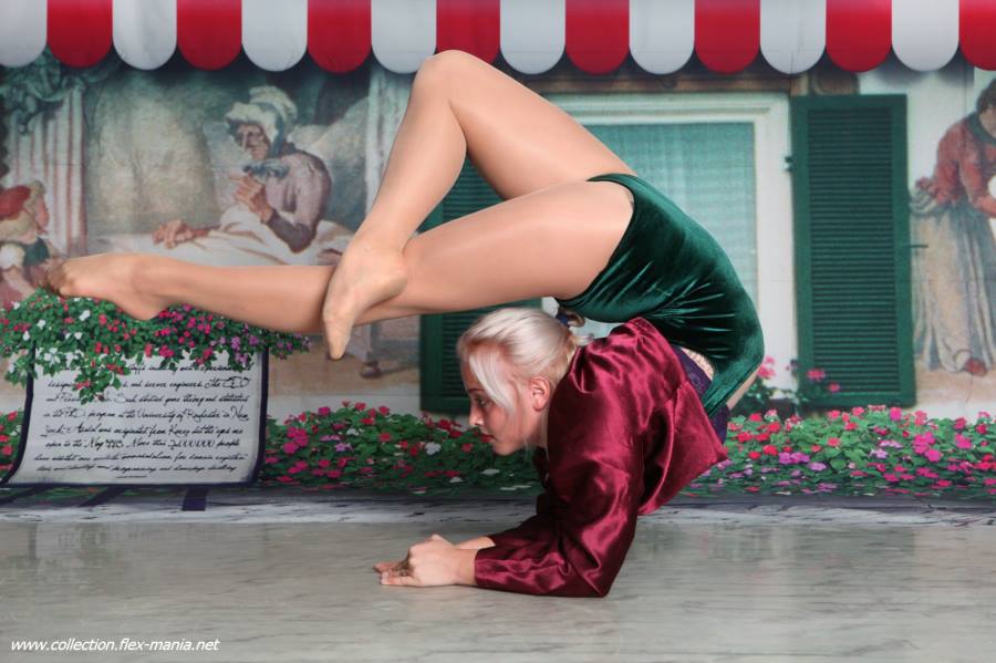 cl������ѵ�������������ģ�