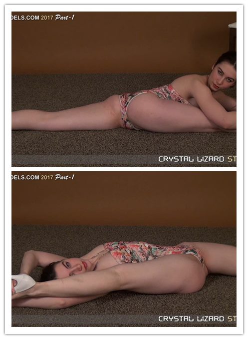 2018.12-27����Ƶ��Ա��DL-VIDEOSר���Ѹ���