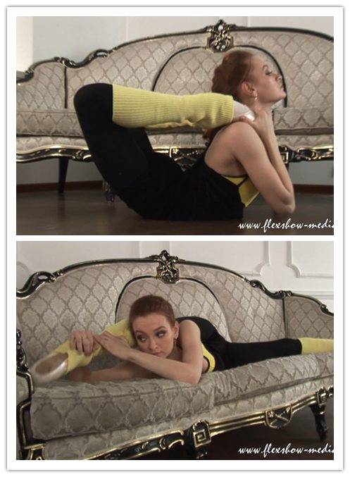 2018.2-15����Ƶ��Ա��flexshowר���Ѹ���