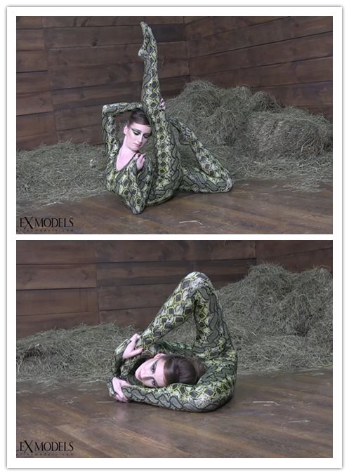 2018.4-21����Ƶ��Ա��topflexmodelsר���Ѹ���