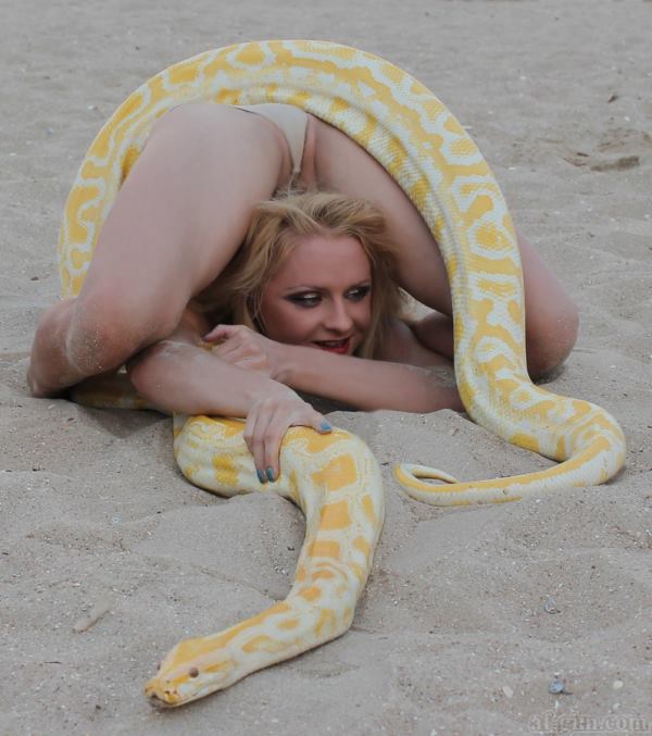 ��������չ�����������֮��