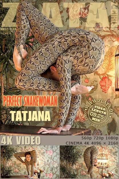 ����������������������