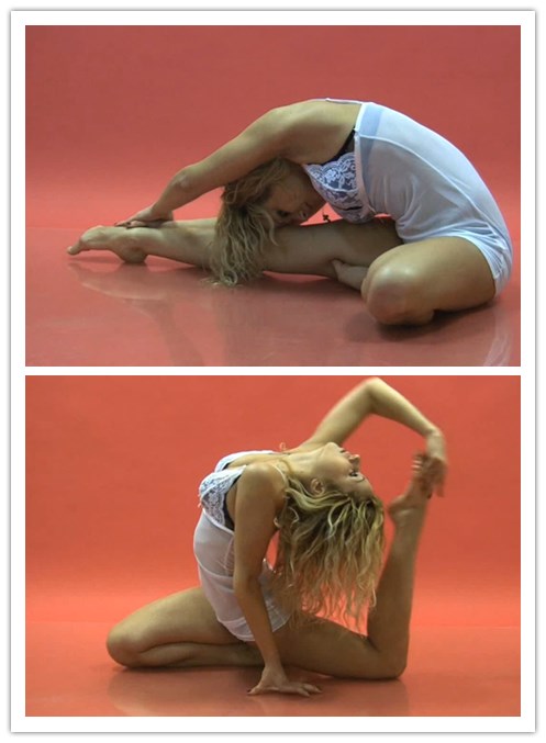 2019.11-12����Ƶ��Ա��body.flex-mania.netר���Ѹ���