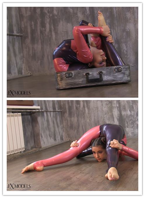 2019.2-27����Ƶ��Ա��topflexmodelsר���Ѹ���