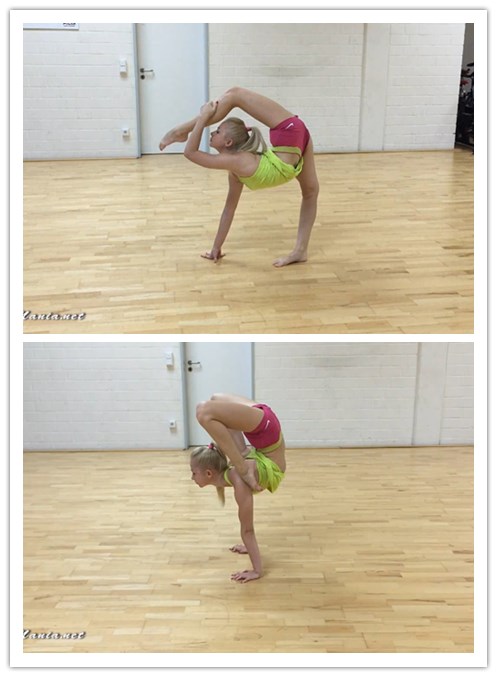 2019.3-16����Ƶ��Ա��flexmaniaר���Ѹ���