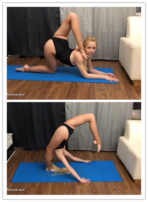 2019.6-18����Ƶ��Ա��flexmaniaר���Ѹ���