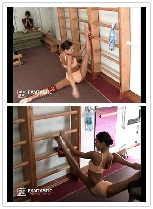 ����������ʲô��