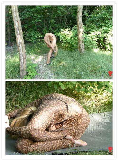 2019.8-26����Ƶ��Ա��gymnastic.xxxר���Ѹ���