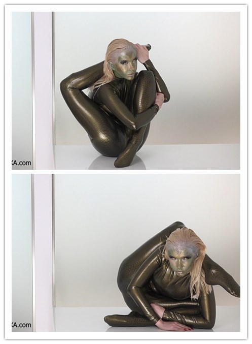 2020.10-29����Ƶ��Ա��zlatexר���Ѹ���