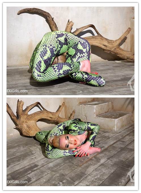 �������̵ı���������Ƶ�������������������Ҫ��