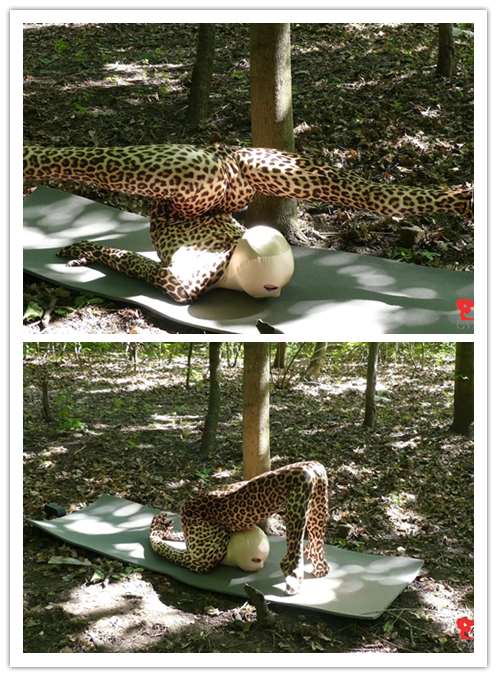 ���������ǲ��������ܣ�����ж��Ƿ����ѵ����