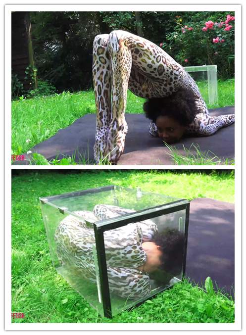 2021.10-10����Ƶ��Ա��topflexmodelsר���Ѹ���