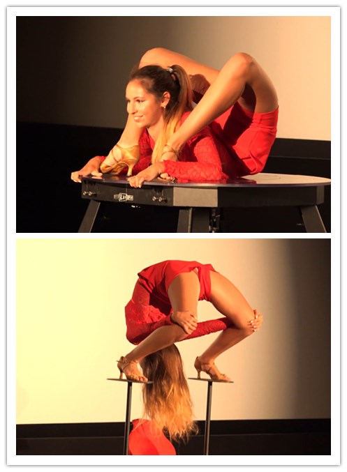 2021.1-12����Ƶ��Ա���Ӽ������ۺϱ���ר���Ѹ���